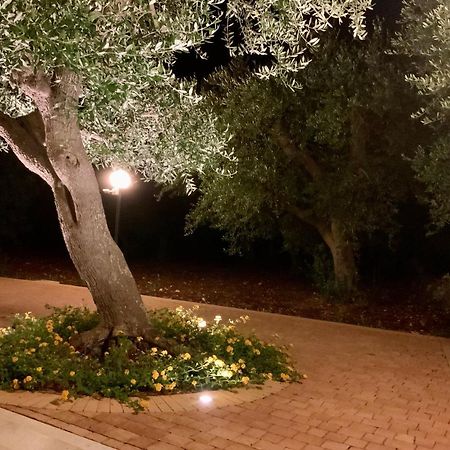 Tra Gli Ulivi Villa Putignano Dış mekan fotoğraf
