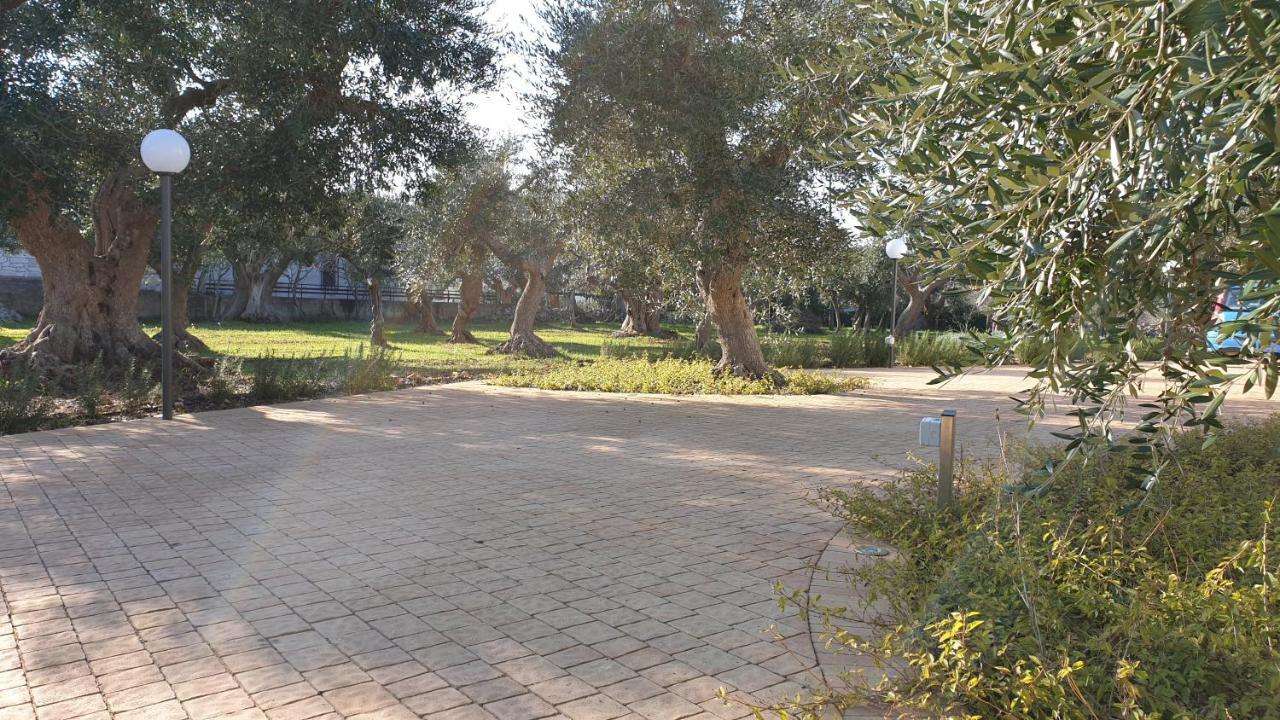 Tra Gli Ulivi Villa Putignano Dış mekan fotoğraf