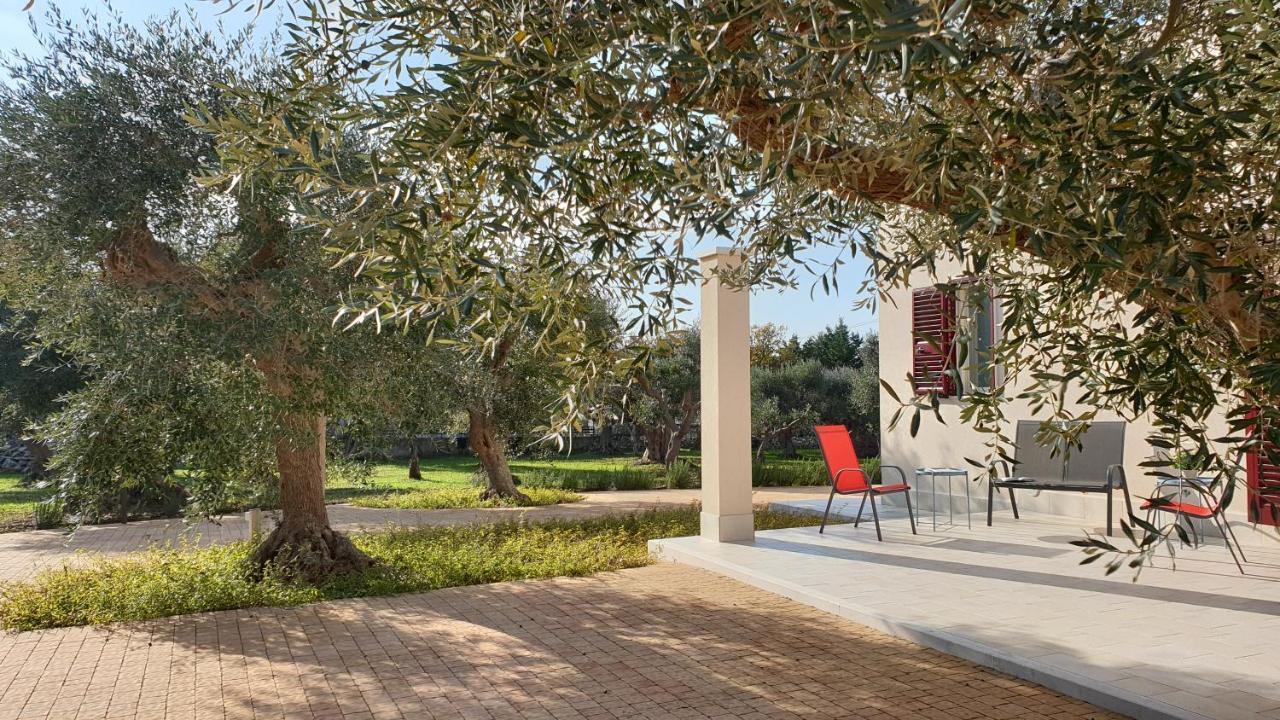 Tra Gli Ulivi Villa Putignano Dış mekan fotoğraf